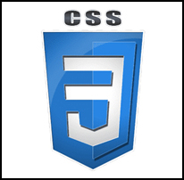 css3